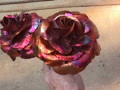 Copper Roses close-up