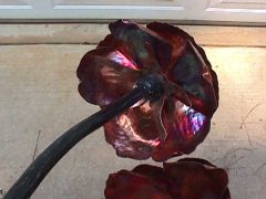Copper Roses under side