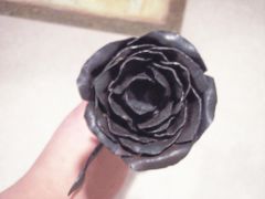 First Rose