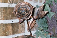Copper Rose 4