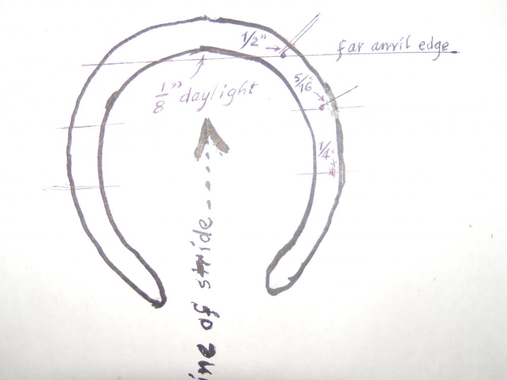 Arch - Horseshoe Dimensions & Drawings