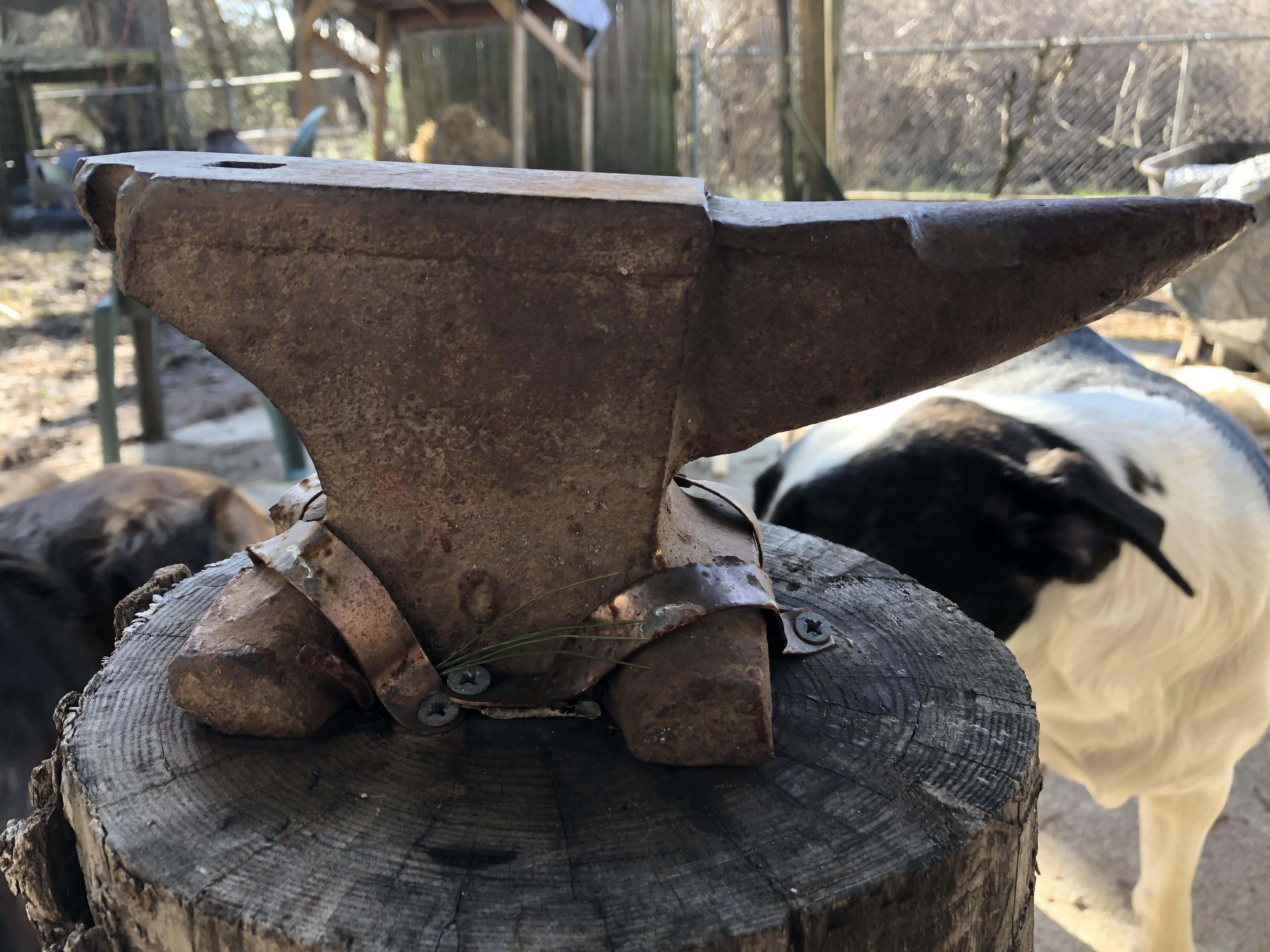 small anvil, no maker info - Anvils, Swage Blocks, and Mandrels - I Forge  Iron