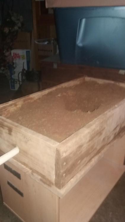 box of dirt on rolley table.jpg